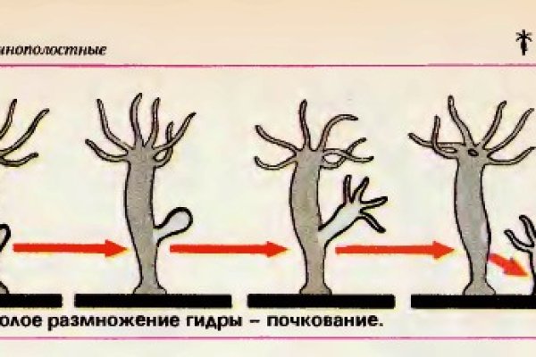 Kraken шоп что это