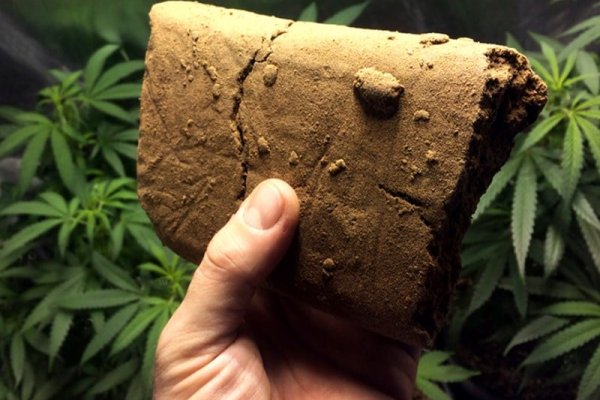 Кракен москва наркота